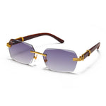 이미지를 갤러리 뷰어에 로드 , Men's Fevani Light Violet Rectangle Exclusive Wood Frame Sunglasses FEVANI
