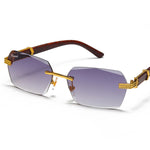 이미지를 갤러리 뷰어에 로드 , Men's Fevani Light Violet Rectangle Exclusive Wood Frame Sunglasses FEVANI