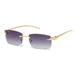 Load image into Gallery viewer, Men's Fevani Violet Vintage Rimless Rectangle Sunglasses FEVANI